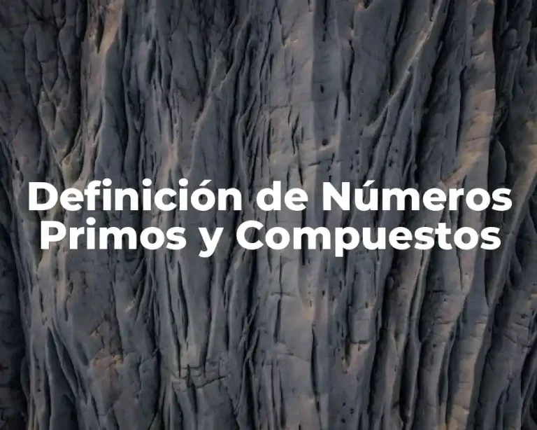 Definición de Números Primos y Compuestos