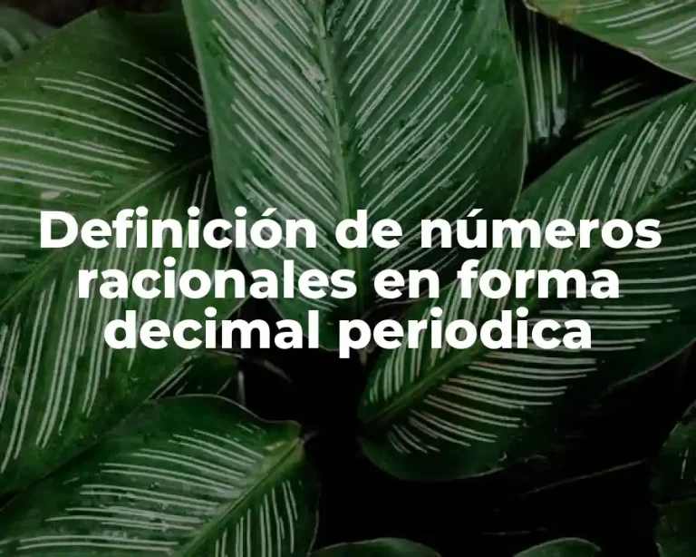 Definición de números racionales en forma decimal periodica