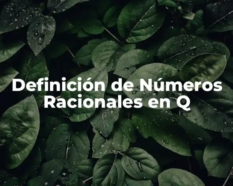 Definición de Números Racionales en Q