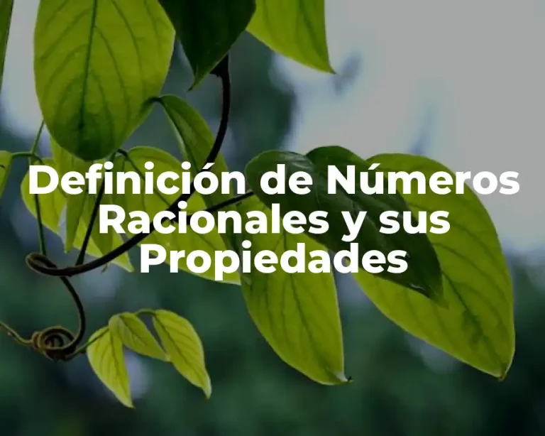Definición de Números Racionales y sus Propiedades