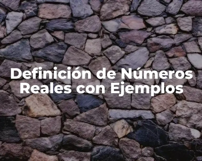 Definición de Números Reales con Ejemplos