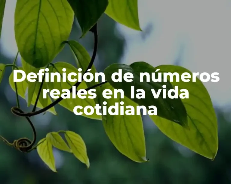Definición de números reales en la vida cotidiana