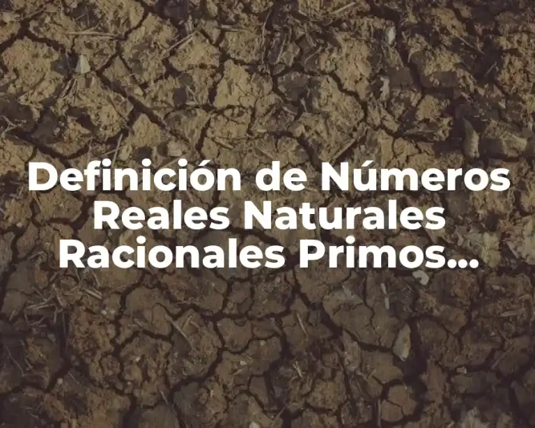 Definición de Números Reales Naturales Racionales Primos Imaginarios Enteros