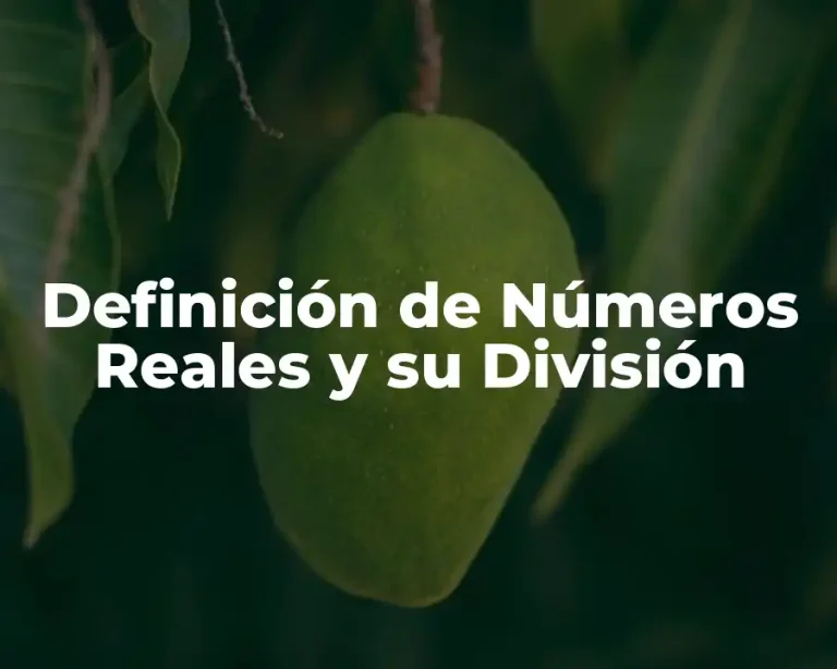 Definición de Números Reales y su División