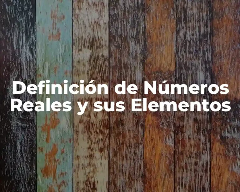Definición de Números Reales y sus Elementos
