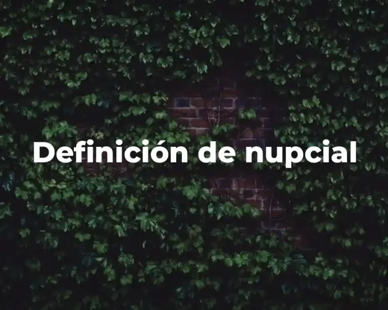 Definición de nupcial