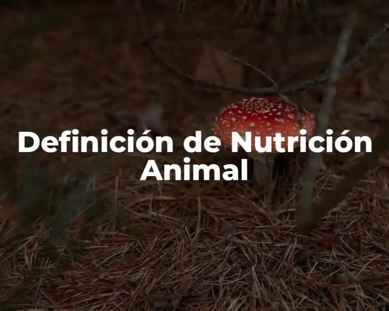 Definición de Nutrición Animal