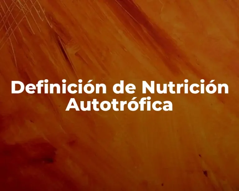 Definición de Nutrición Autotrófica