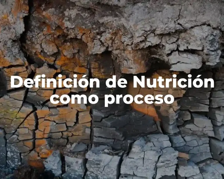Definición de Nutrición como proceso