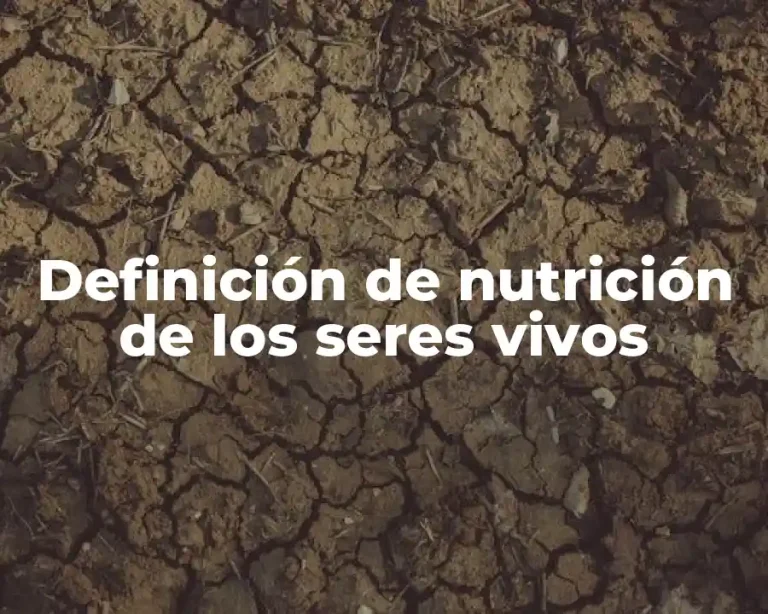 Definición de nutrición de los seres vivos