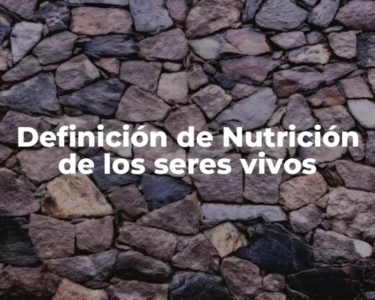Definición de Nutrición de los seres vivos