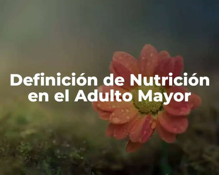 Definición de Nutrición en el Adulto Mayor