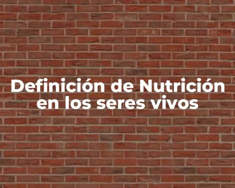 Definición de Nutrición en los seres vivos