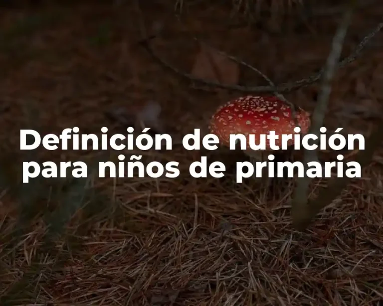 Definición de nutrición para niños de primaria