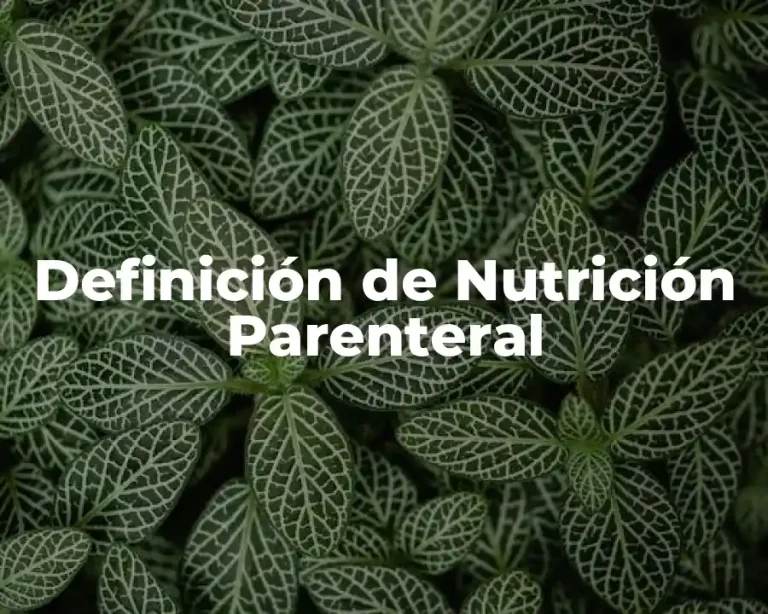 Definición de Nutrición Parenteral