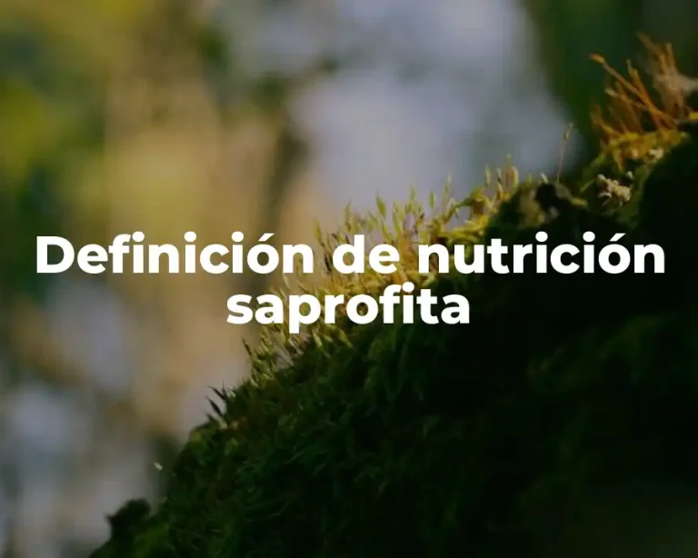 Definición de nutrición saprofita