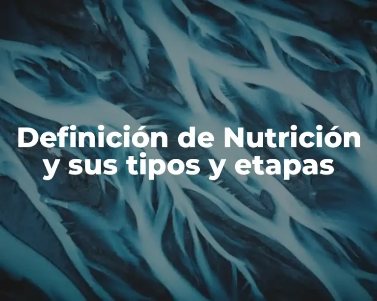 Definición de Nutrición y sus tipos y etapas