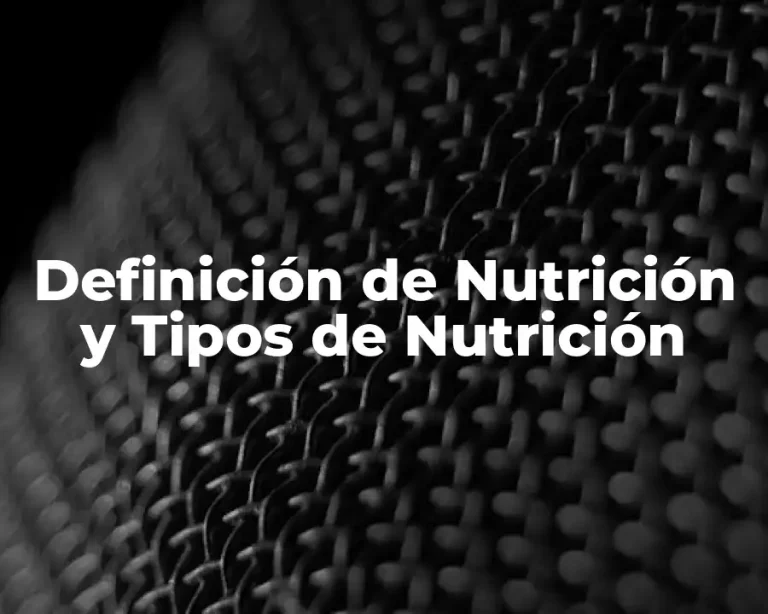 Definición de Nutrición y Tipos de Nutrición