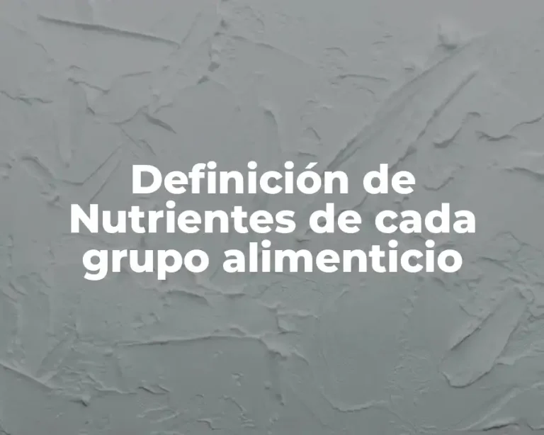 Definición de Nutrientes de cada grupo alimenticio