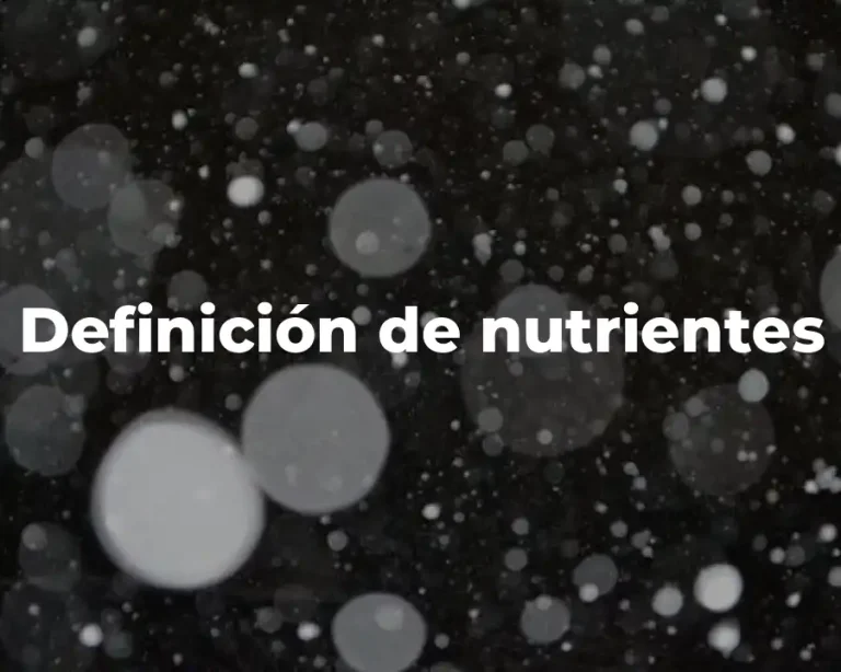 Definición de nutrientes