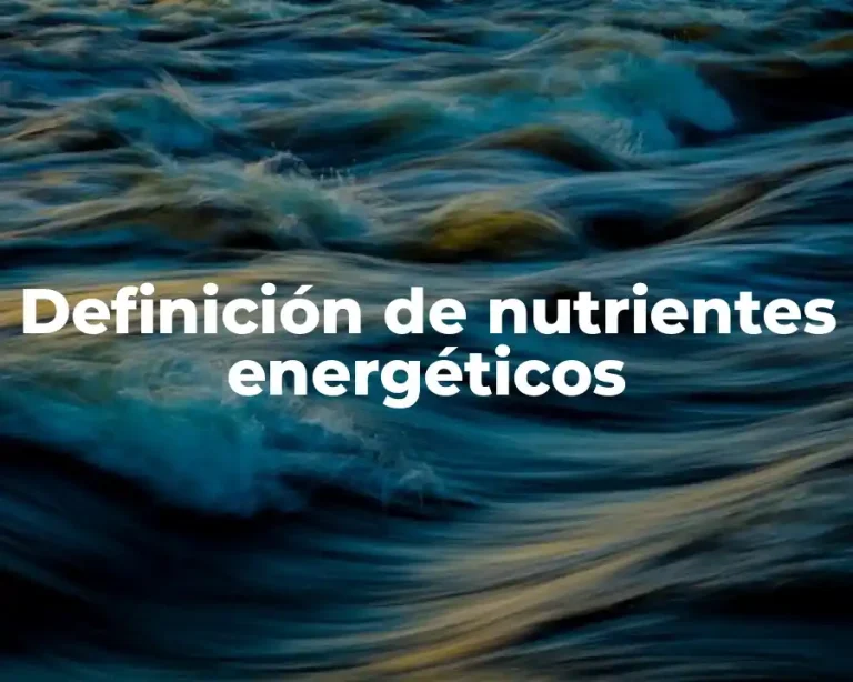 Definición de nutrientes energéticos