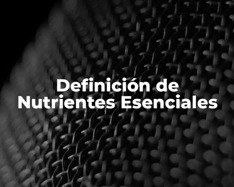 Definición de Nutrientes Esenciales