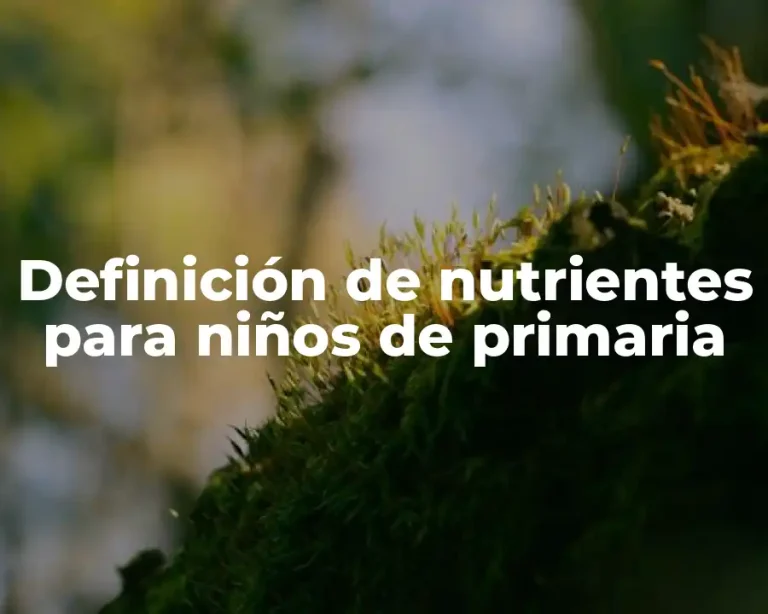 Definición de nutrientes para niños de primaria