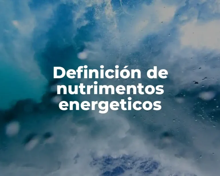 Definición de nutrimentos energeticos