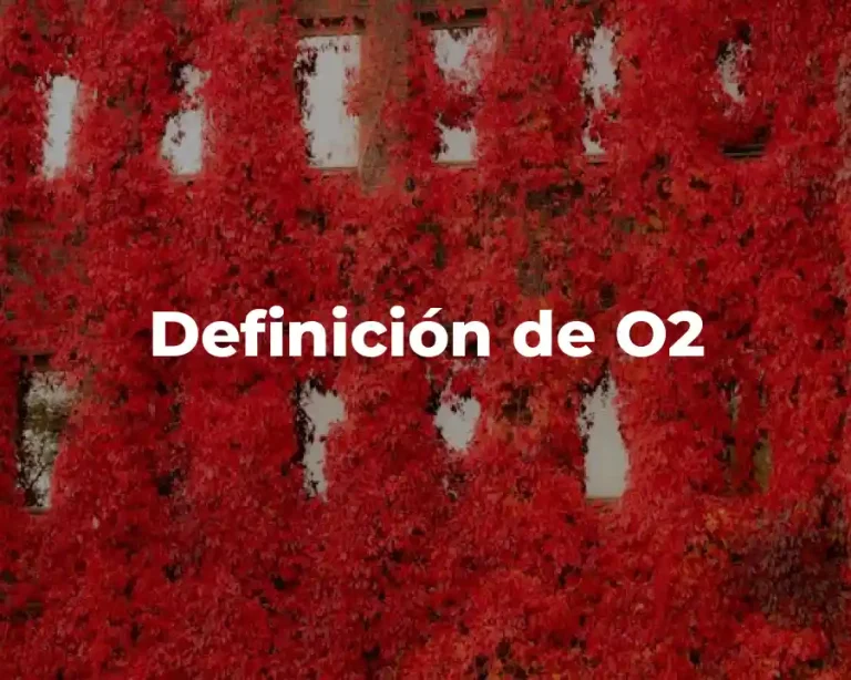 Definición de O2