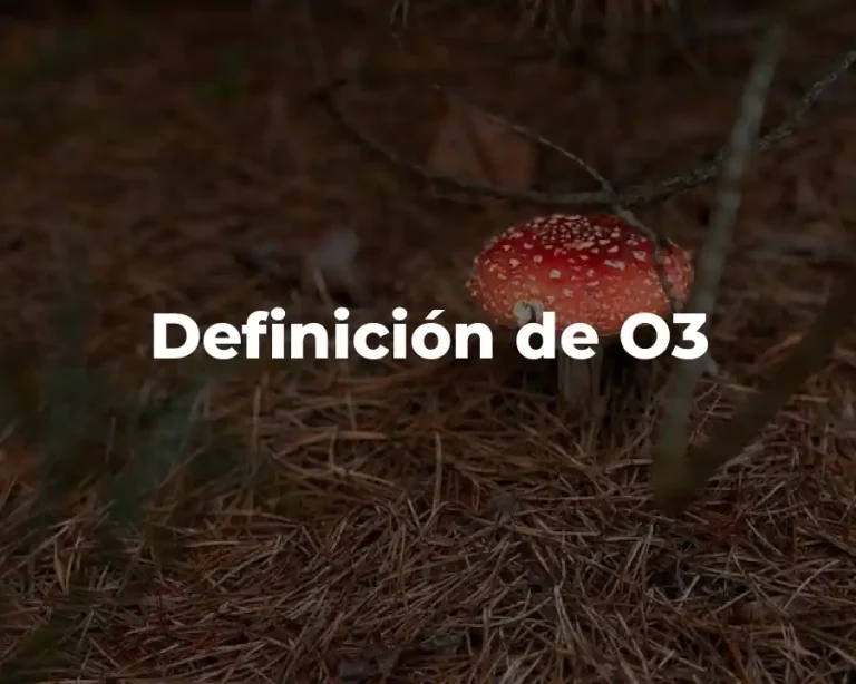 Definición de O3