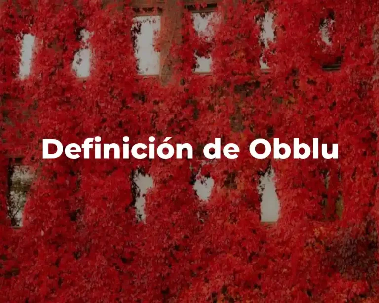 Definición de Obblu