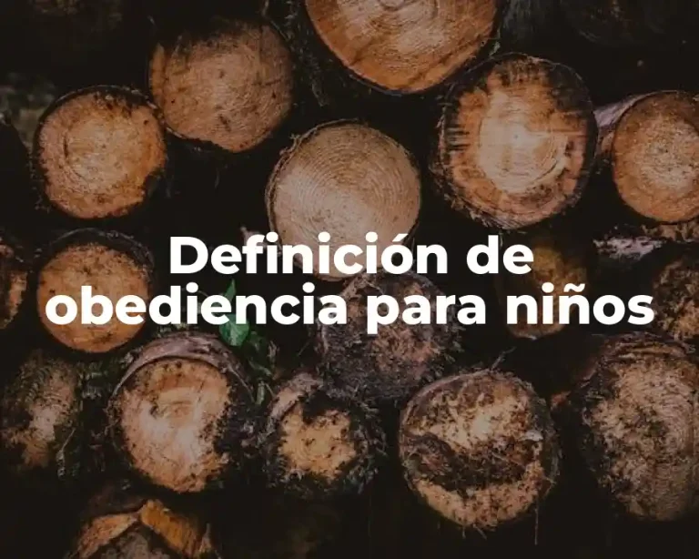 Definición de obediencia para niños