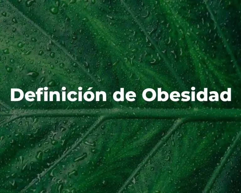 Definición de Obesidad
