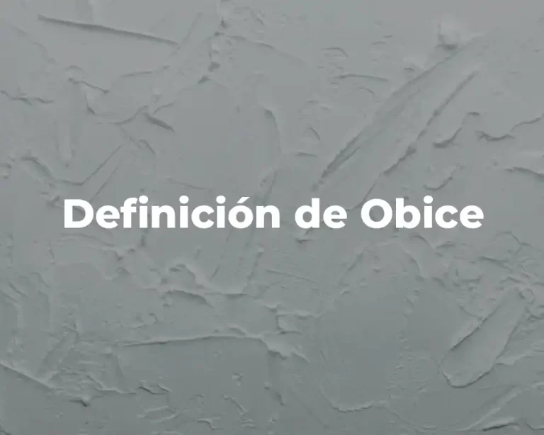 Definición de Obice