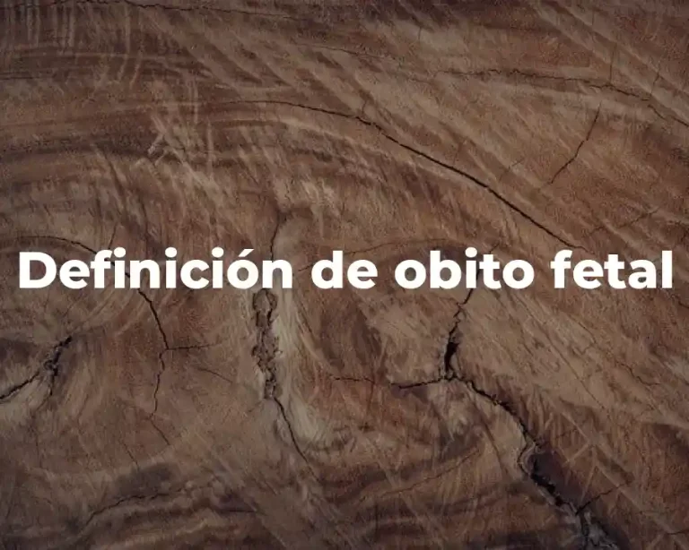 Definición de obito fetal