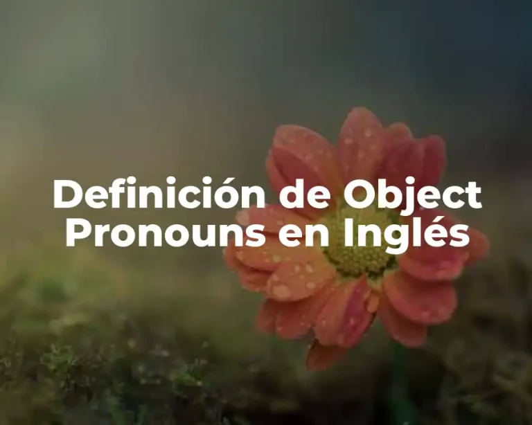 Definición de Object Pronouns en Inglés