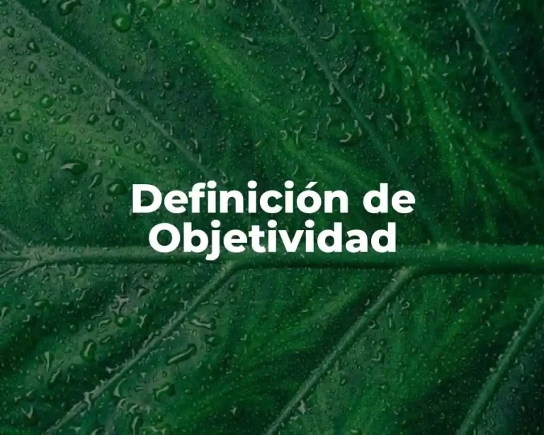 Definición de Objetividad