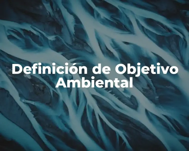 Definición de Objetivo Ambiental