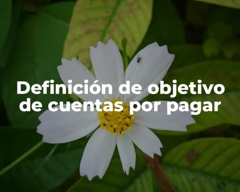 Definición de objetivo de cuentas por pagar