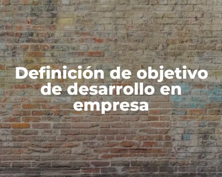 Definición de objetivo de desarrollo en empresa