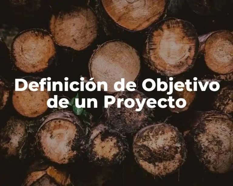 Definición de Objetivo de un Proyecto