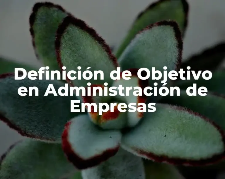 Definición de Objetivo en Administración de Empresas