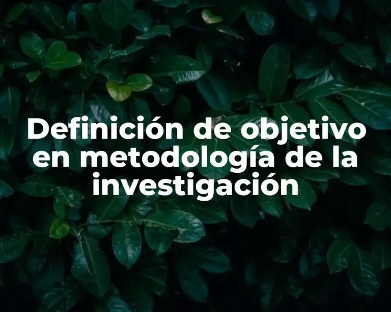 Definición de objetivo en metodología de la investigación