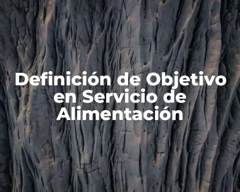 Definición de Objetivo en Servicio de Alimentación