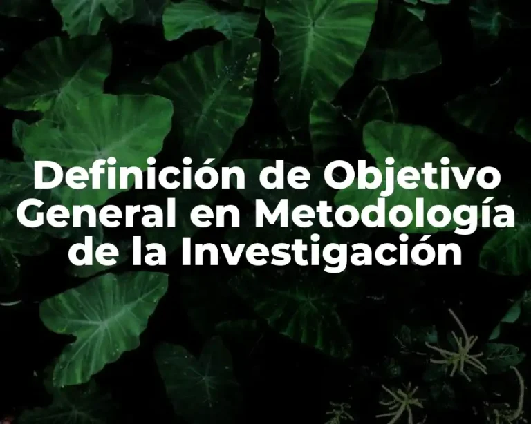 Definición de Objetivo General en Metodología de la Investigación