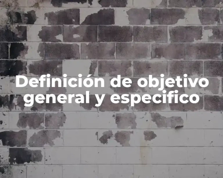 Definición de objetivo general y especifico