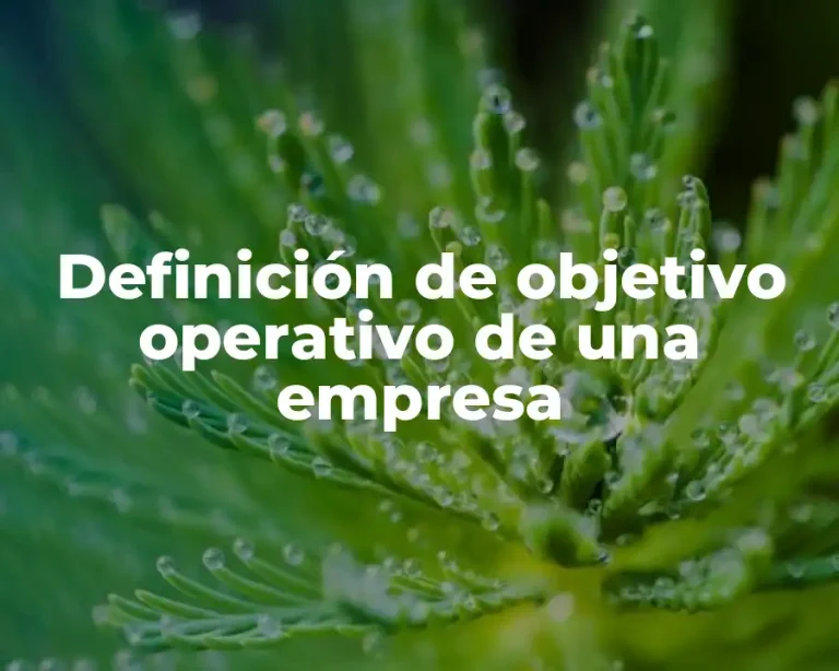 Definición de objetivo operativo de una empresa