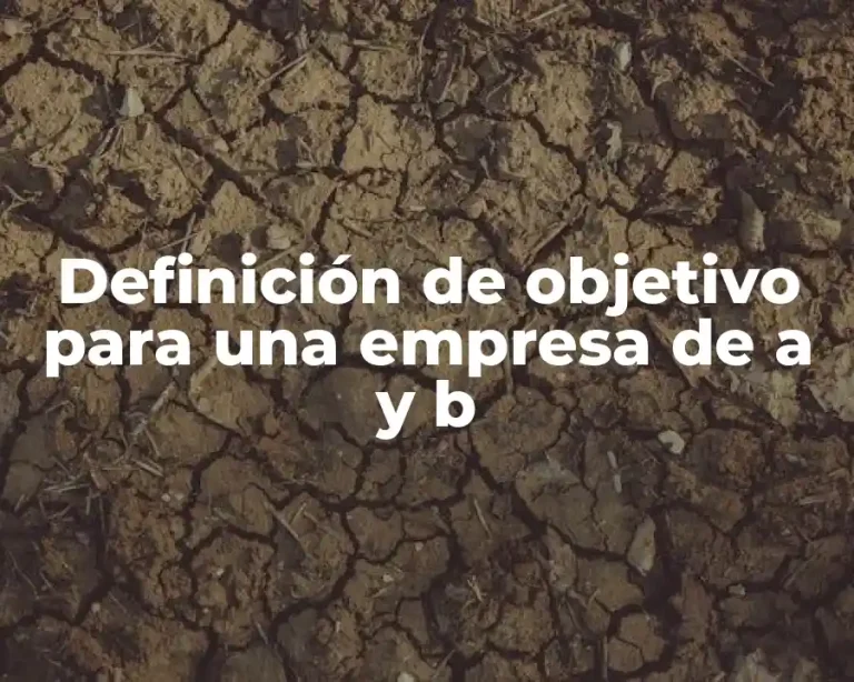 Definición de objetivo para una empresa de a y b
