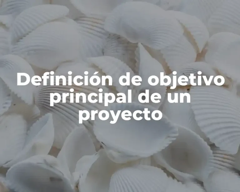Definición de objetivo principal de un proyecto
