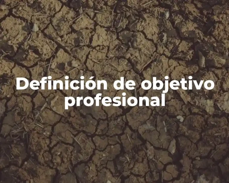 Definición de objetivo profesional